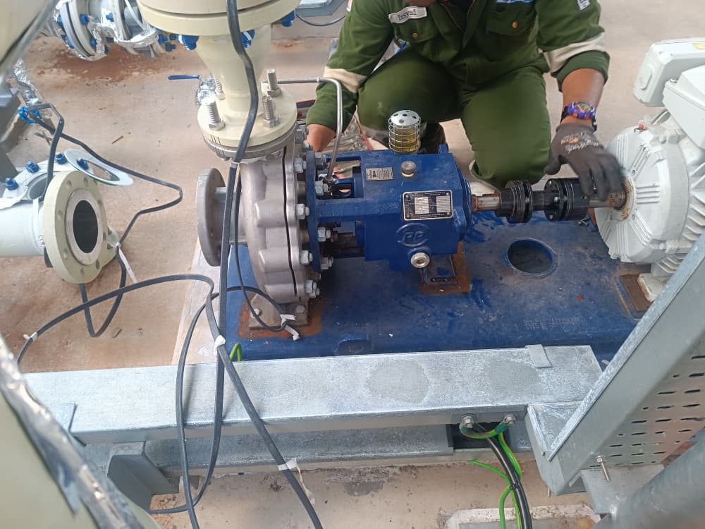 Our Service